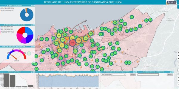 Exemple de carte de suivi des activités commerciales généré avec la solution de cartographie géo-analytique